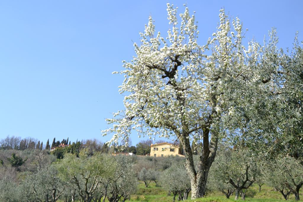 Agriturismo La Corte Πιστόια Εξωτερικό φωτογραφία